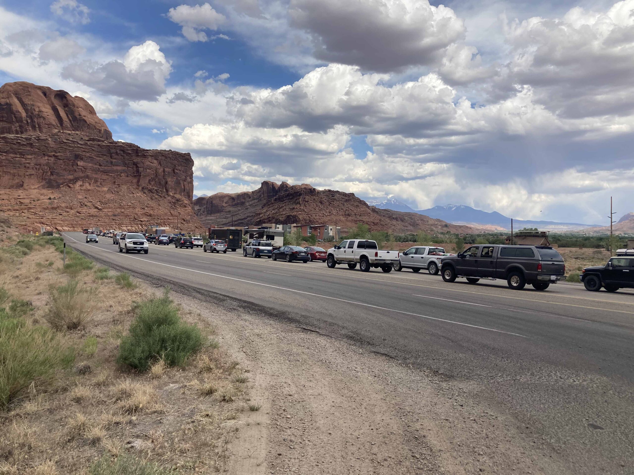 The Advantages of Having Green Stems in Arid Environments (U.S. National  Park Service)