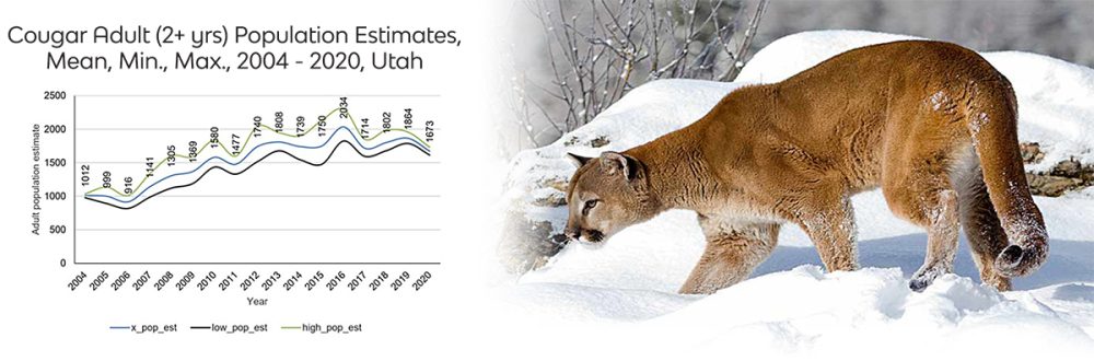 Estimated adult Cougar population chart with cougar photo